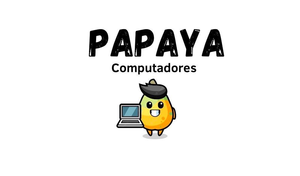 Papaya computadores